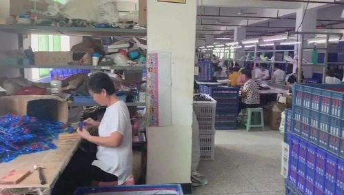 涉案超千萬！徐匯警方偵破玩具著作權侵權大案，假冒禮品花卉流入市場